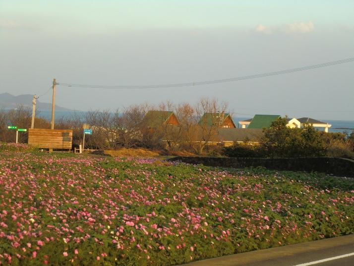 Sansan Tomie Camp Village Goto Kültér fotó